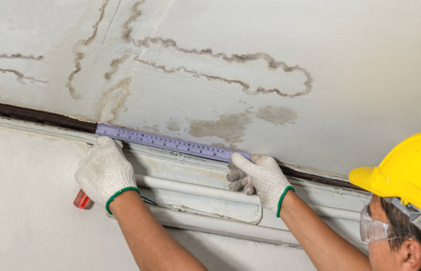 Reliable Structural Drying contractor in Franklin, MI by Water Damage Irwin